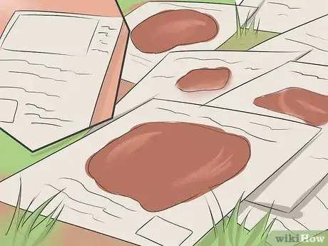 Image titled 2004813 6