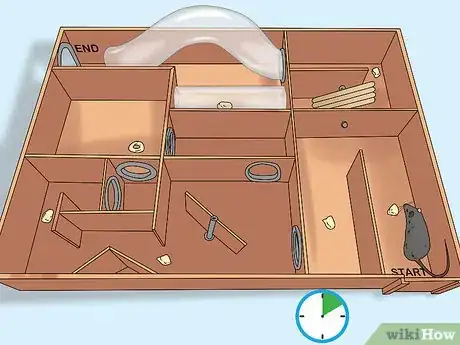 Image titled Train a Rat to Run a Maze or Obstacle Course Step 5