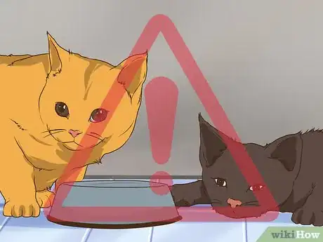 Image titled Make Sure Your Cat's Vaccinations Are Up to Date Step 18