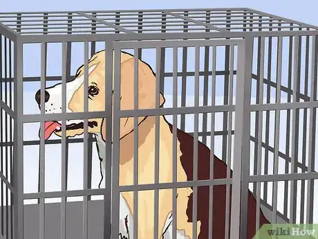 Image titled Keep Your Dog Calm After Neutering Step 5