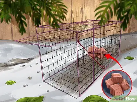 Image titled Catch Weasels Step 5
