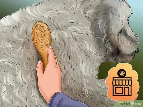 Image titled Groom a Goldendoodle Step 1