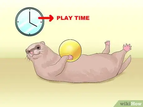 Image titled Decide if a Ferret Is the Right Pet for You Step 2