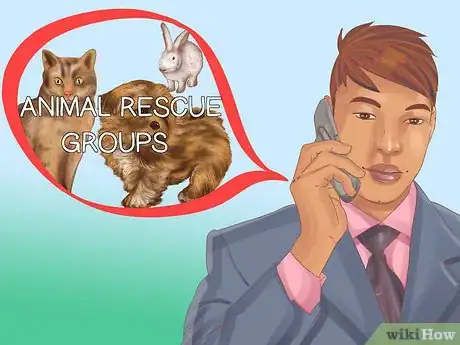 Image titled Buy a Personal Protection Dog Step 7