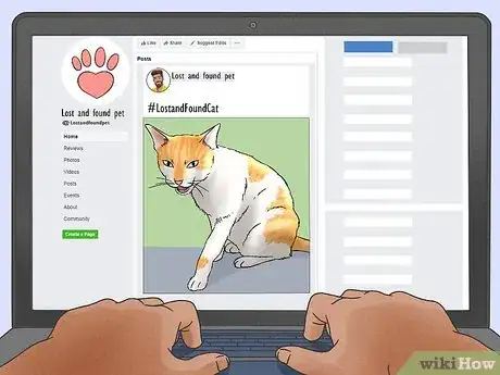 Image titled Identify and Help Feral and Stray Cats Step 13