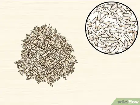 Image titled Identify a Rice Variety Step 9