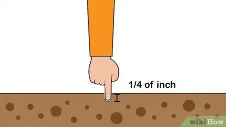 Image titled Plant Zinnias Step 6