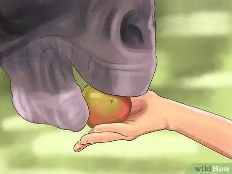 Image titled Ride a Horse For the First Time (Kids) Step 12