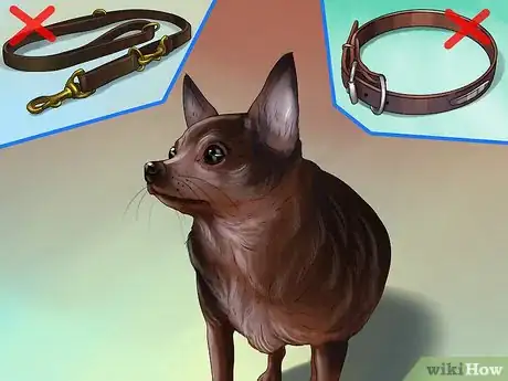 Image titled Rehome a Rescue Dog Step 12