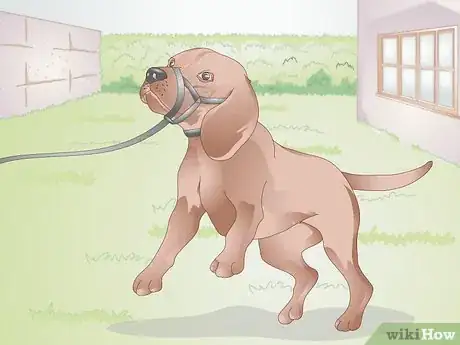 Image titled Find the Right Collar for Your Dog Step 4