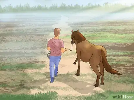 Image titled Hand Walk an Injured Horse Step 13