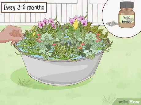 Image titled Grow an Edible Pond Step 14