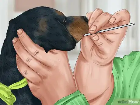 Image titled Choose a Dog Adoption Agency Step 14