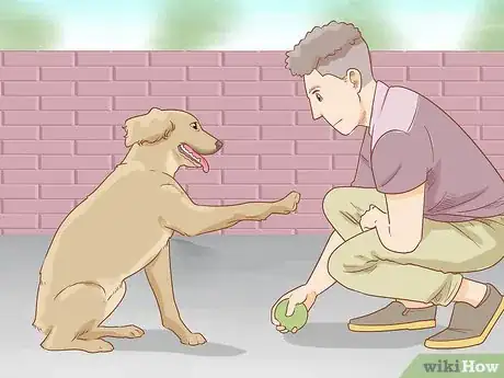 Image titled Stop a Dog from Pawing Step 5