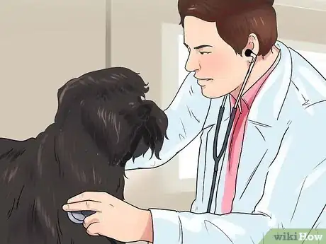 Image titled Get Dogs to Mate Step 7