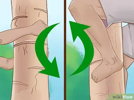 Image titled Climb a Tree With No Branches Step 8