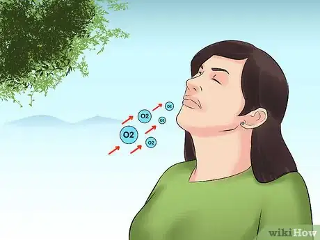 Image titled Train Teenager Stage Dogs Step 14