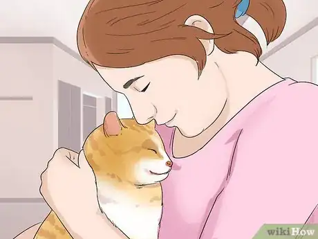 Image titled Take Care of an Aegean Cat Step 10