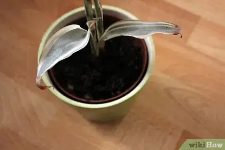 Image titled Connect to Your Element Step 4