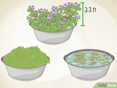 Image titled Grow an Edible Pond Step 12