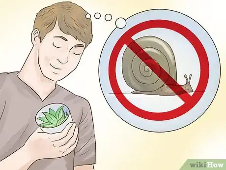 Image titled Pick Freshwater Plants Step 16