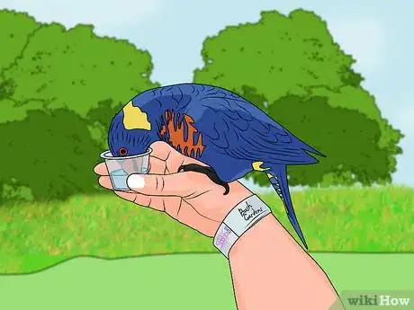 Image titled Visit Busch Gardens Tampa Step 17