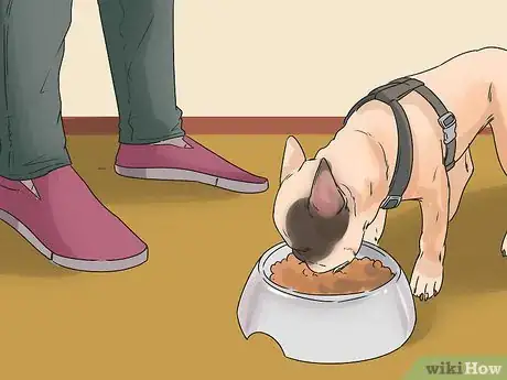 Image titled Help a Reactive Dog Relax Around Food Step 2