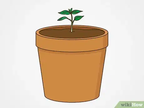 Image titled Grow Vegetables in the Midwest Step 13