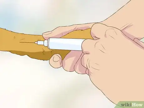 Image titled Get Veterinary Hospice Care for Your Dog Step 17