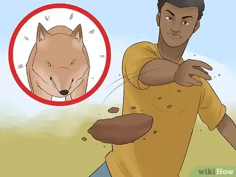 Image titled Survive a Coyote Attack Step 10