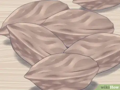 Image titled Plant a Plum Seed Step 6