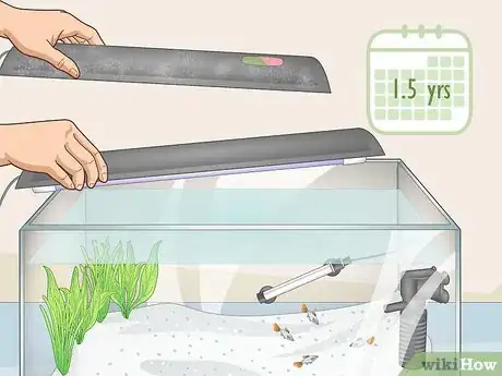Image titled Avoid Algae in an Aquarium Step 3