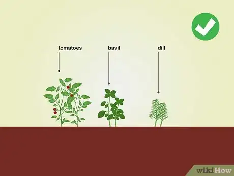 Image titled Choose Vegetables to Grow Step 17