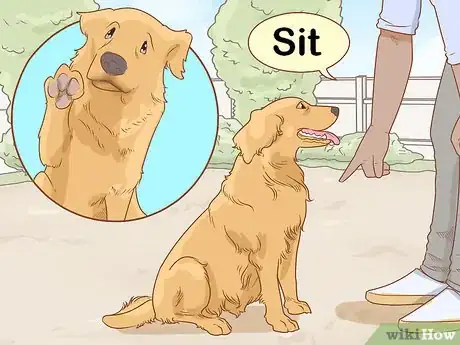Image titled Stop a Dog from Pawing Step 1