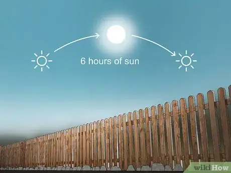 Image titled Grow Napa Cabbage Step 2