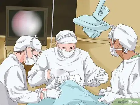 Image titled Detect Skin Cancer in Dogs Step 6