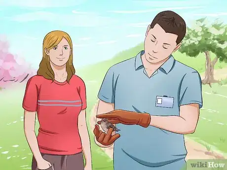 Image titled Care for an Injured Wild Bird That Cannot Fly Step 16