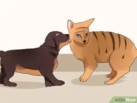 Image titled Socialize a Puppy from a One Pup Litter Step 5