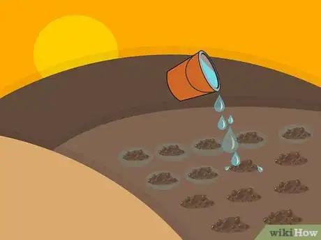 Image titled Grow Lupine Flowers Step 11