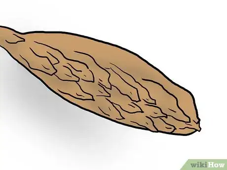 Image titled Plant Plumeria Seeds Step 1