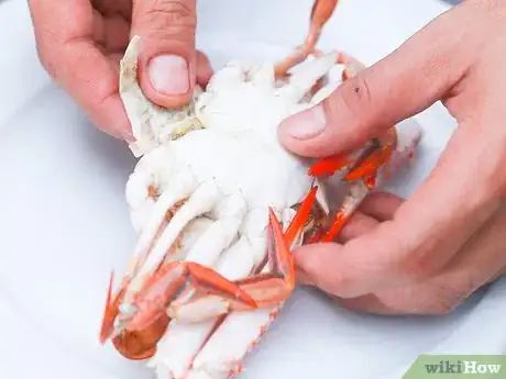 Image titled Boil Crab Step 11