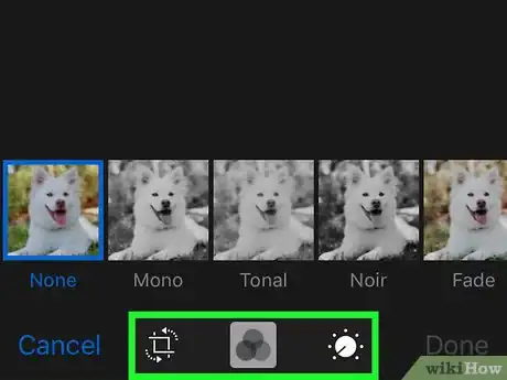 Image titled Create a Social Media Page for Your Dog Step 7