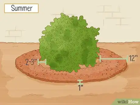 Image titled Grow Boxwood Shrubs Step 17