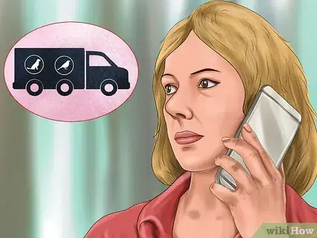 Image titled Pack and Move Your Bird Step 6