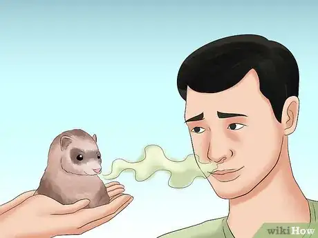 Image titled Decide if a Ferret Is the Right Pet for You Step 9