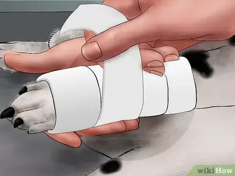 Image titled Splint a Dog's Leg Step 17