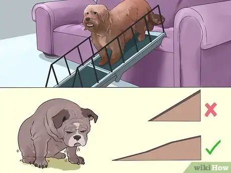 Image titled Choose Furniture Ramps for Dogs Step 3