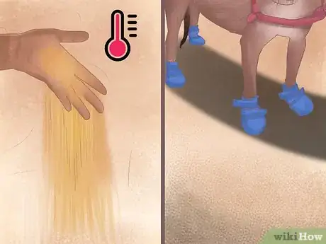 Image titled Take Pets on Beach Vacations Step 15