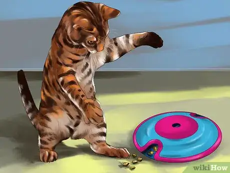 Image titled Encourage Your Cat's Hunting Instinct Step 9