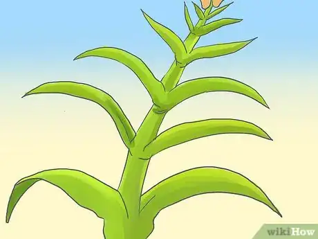 Image titled Pinch Carnations Step 2